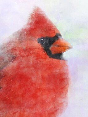 Crimson Cardinal in Dreamlight 8x10 Watercolor Bird Art Print Wall Decor